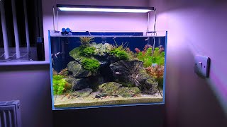 ALL MY HOUSE AQUARIUMS • Asking Kids Fish Tank Questions • FUNNY [upl. by Eselahc]