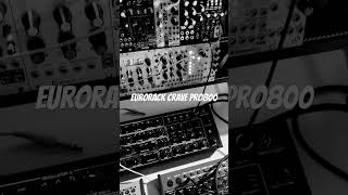 Eurorack  Behringer Crave  Pro800 electro beats [upl. by Oilicec]