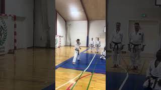 YamaguchiSensei demonstrating the beginning of kata Junro shodan [upl. by Orren351]