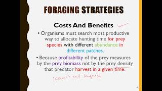 Ecology Optimal Foraging Theory [upl. by Abercromby]