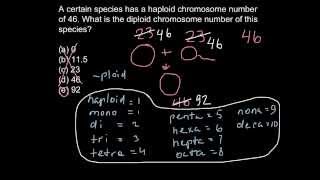 Ploidy level problem [upl. by Vere]