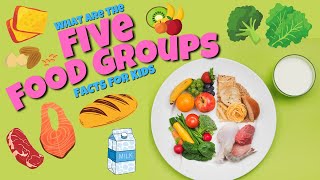 The 5 Food Groups  Educational Facts for Kids [upl. by Jerz]