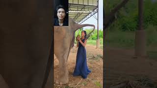 Special ang Dumi ng elephante fypシ゚viral funny comedy subscribe [upl. by Kariotta]