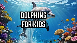 Dolphins The Smartest Animals In The Ocean [upl. by Chane1]