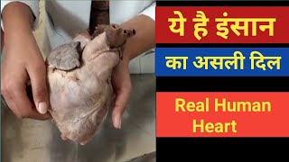 Real Human Heart  Explained by MBBS Students [upl. by Redvers]