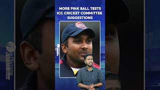 More Pink Ball Tests ICC Cricket Committee Suggestions [upl. by Aenet]