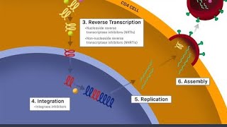 Overview of Classifications of Antiretroviral drugs  Reverse transcriptase inhibitors [upl. by Astred]