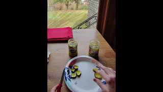 Horseradish pickles throw down Boar’s Head FTW Part 2 [upl. by Akirdnahs]