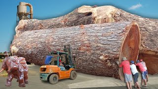 SAWING THE GIANT TREMBESI REDWOOD❗USING EXTRAORDINARY DANGEROUS ENGINEERING SKILLS [upl. by Alexandra]