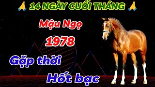 THẦN PHẬT ĐỘ MỆNH MẬU NGỌ 1978 GẶP THỜI HỐT BẠC  ĐÚNG 14 NGÀY CUỐI THÁNG TIỀN NHIỀU GIÀU CỰC SANG [upl. by Einned642]