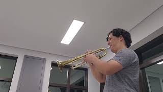 Hummel Trumpet Concerto In E Flat 1mov [upl. by Adelia]