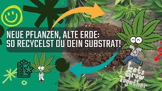 Neue Pflanzen alte Erde So recycelst du dein Substrat [upl. by Lebbie807]