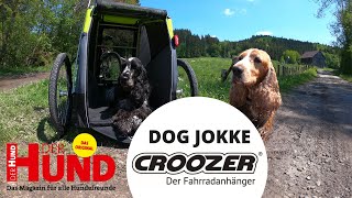 Der Croozer HundeAnhänger im Test [upl. by Maryjo359]