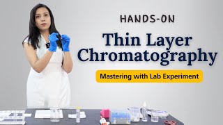 Mastering Thin Layer Chromatography Technique  TLC HandsOn Lab Experiment [upl. by Surad]