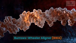 The Burrows Wheeler Aligner BWA [upl. by Tiras]