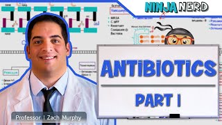 Antibiotics Cell Wall Synthesis Inhibitors Part 1 [upl. by Noirad724]