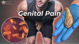 The Worst Genital Pain a Man Can Experience [upl. by Sitruc881]