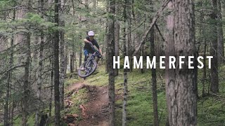 Hammerfest Trails  Vancouver Island Mountain Biking [upl. by Idahs645]