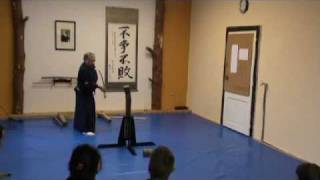 Nakagawa Kinji sensei  tameshigiri workshop [upl. by Yelnoc962]