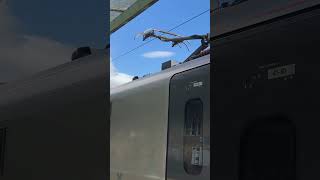 Class 397 raises pantograph [upl. by Tnahs]