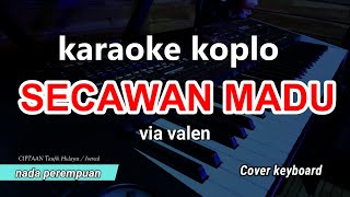 SECAWAN MADU  VIA VALEN  KARAOKE DANGDUT KOPLO HD AUDIO [upl. by Moshell]