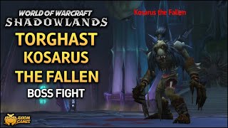 WoW Shadowlands  Torghast Kosarus the Fallen [upl. by Wurst]