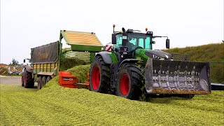 Mais 2021  Fendt 1050  Loonbedrijf Jansen  Claas Jaguar 9XX  3X Fendt  John Deere  Krone  4K [upl. by Legnaesoj]