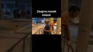 Gaziantep Zeugma mozaik müzesi gaziantep travel zeugma [upl. by Ayalahs]