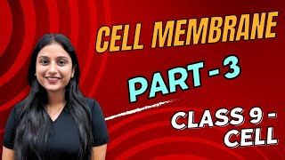 Essential Cell Transport Mechanisms Explained [upl. by Gladdie489]