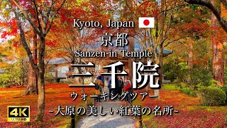 Autumn Leaves at Sanzenin Temple Kyoto  Beautiful Landmarks 4K [upl. by Pansy]