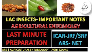 LAC INSECT KERRIIDAE Agricultural Entomology  ARS NET ICAR JRFSRF IARI PhD [upl. by Elwood481]