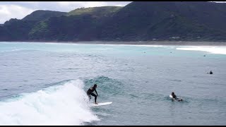 7 ALLROUNDER SURFBOARD REVIEW w Piha Surf School [upl. by Narut]