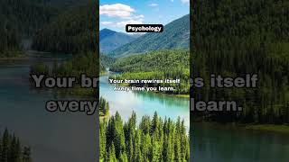 Your Brain Changes Every Day facts motivation quotes psychologyfacts motivationalquotes peace [upl. by Allys770]