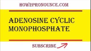 How To Pronounce ADENOSINE CYCLIC MONOPHOSPHATE [upl. by Muirhead]