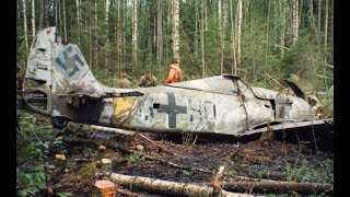 Wulf in the Woods  The Most Incredible WW2 Relic Ever [upl. by Fotina]