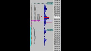 Nifty Futures Orderflow amp Market Profile  Live Chart [upl. by Markland]