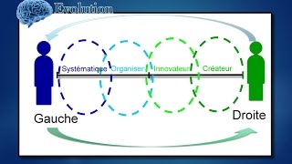 Test personnalité Créative Innovateur Organisé Systématique quelle personnalité êtesvous [upl. by Yrailih514]