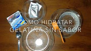 CÓMO HIDRATAR GELATINA SIN SABOR  cómo diluir gelatina para tus postres y recetas [upl. by Bert]