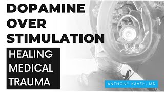 The Limbic System Dopamine Trauma And Overstimulation [upl. by Nnaitsirk]