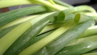 How To Dehydrate Spring Onions [upl. by Aerahs]