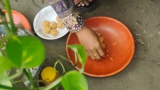 তিলের নাড়ু howtomaketilerlanadu tilerladdurecipe sadatilerrecipe tilerborarecipe [upl. by Elliott389]