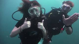 Love Death and Fish 16 March 2024 Diving Thailand Sail Rock Underwater video [upl. by Elokcin]