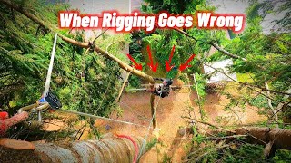 Basic Tree Rigging Can Still Go Wrong  Double Fir Removal [upl. by Frendel]