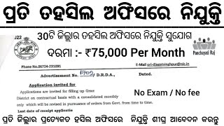 Odisha Tahasil Office Recruitment 2024  Salary Upto 75000 Per Month  Odisha Govt Jobs 2024 [upl. by Laraine]