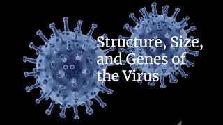 Structure Size and Genes of the Virus [upl. by Yerffej]