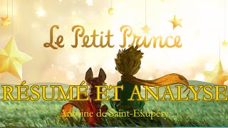 Livre audio Le Petit Prince  Résumé et analyse – Antoine de SaintExupéry [upl. by Lauritz663]