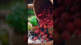 Have you heard about lychee wine makingwine wine ytshorts [upl. by Nena307]