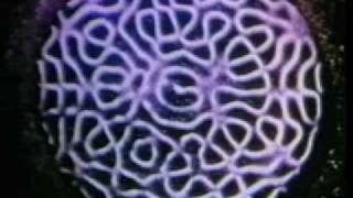 Cymatics [upl. by Eartha]