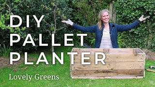 How to make a DIY Pallet Planter [upl. by Arotak]