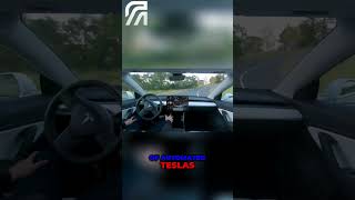 Tragic Tesla Crash Autopilot vs Human Error [upl. by Eerhs]